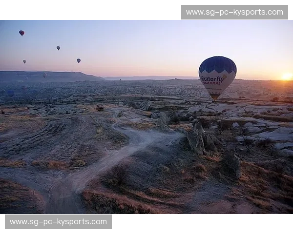 澳网伤停风云：从伤痛到新生的惊心旅程